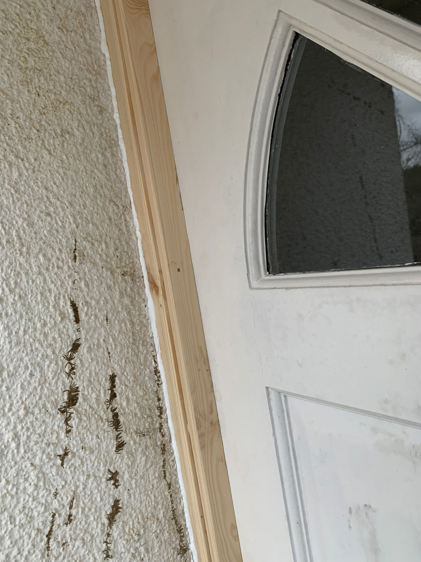 Front Doors project by AJW Carpentry in Sidmouth and East Devon: image 2