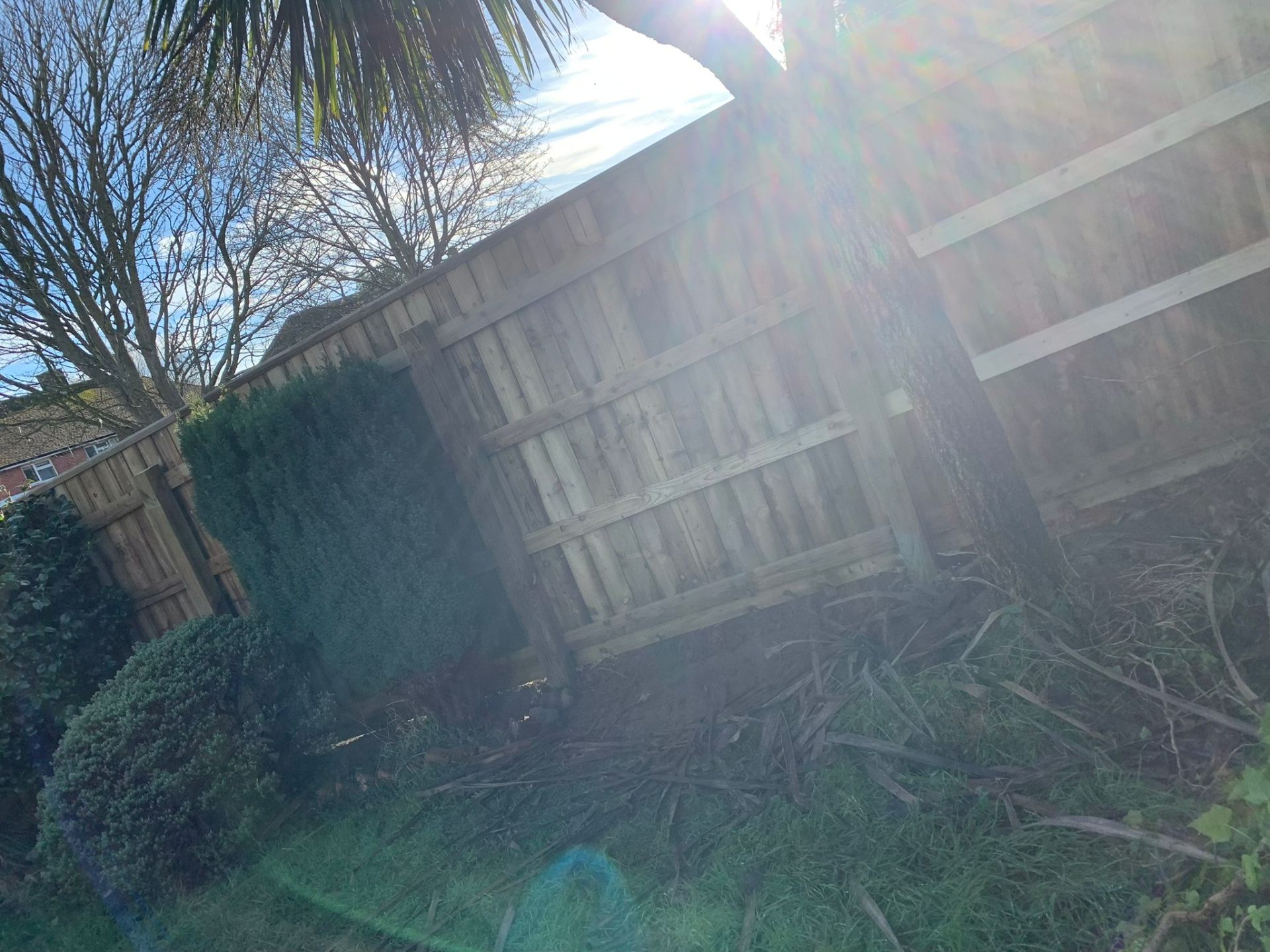 Garden Works project by AJW Carpentry in Sidmouth and East Devon: image 4