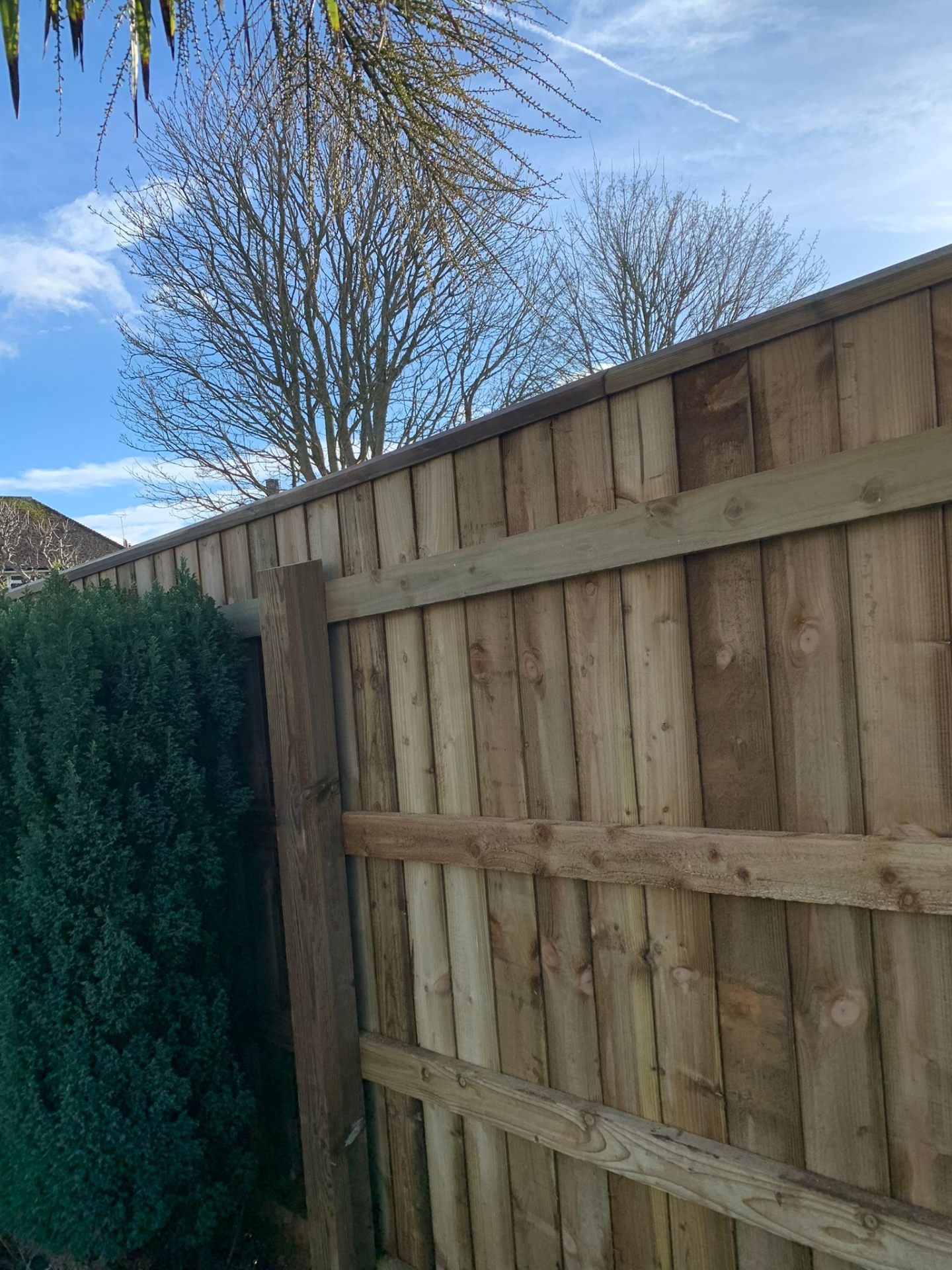 Garden Works project by AJW Carpentry in Sidmouth and East Devon: image 5